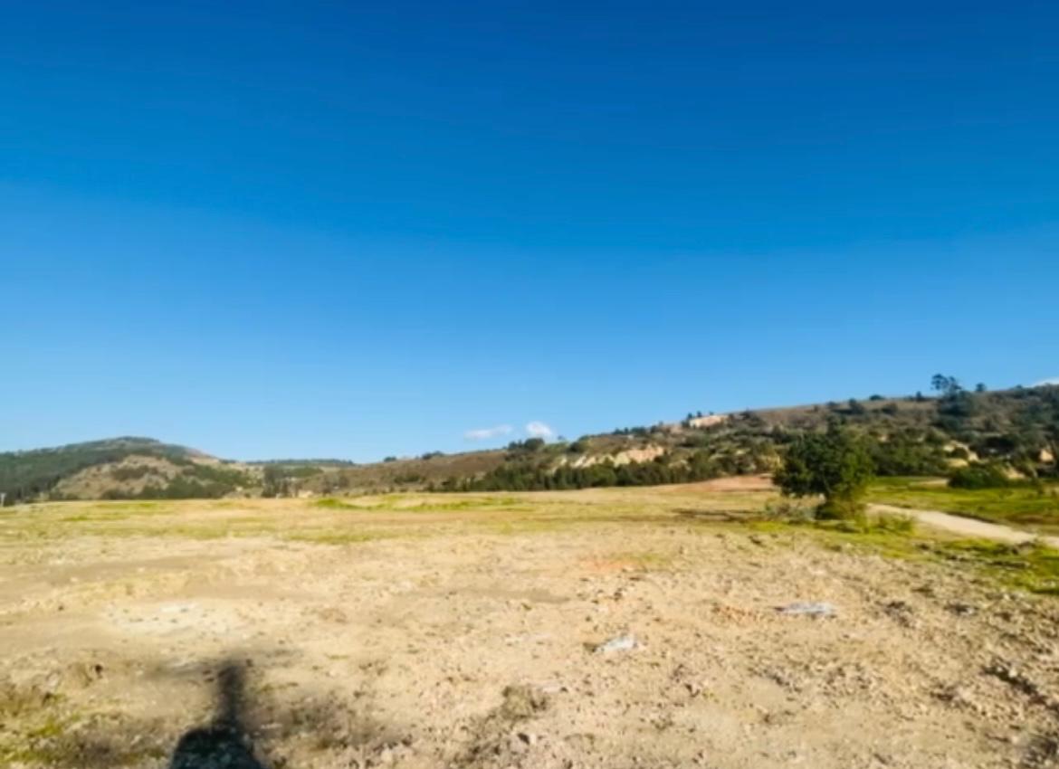 Imagen de WhatsApp 2025-03-27 a las 16.06.40_87856dec