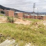 WhatsApp Image 2025-03-04 at 11.57.48 AM