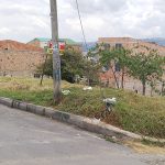 WhatsApp Image 2025-03-04 at 11.57.49 AM