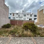 WhatsApp Image 2025-03-08 at 11.05.36 AM (5)