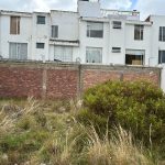 WhatsApp Image 2025-03-08 at 11.05.36 AM (6)