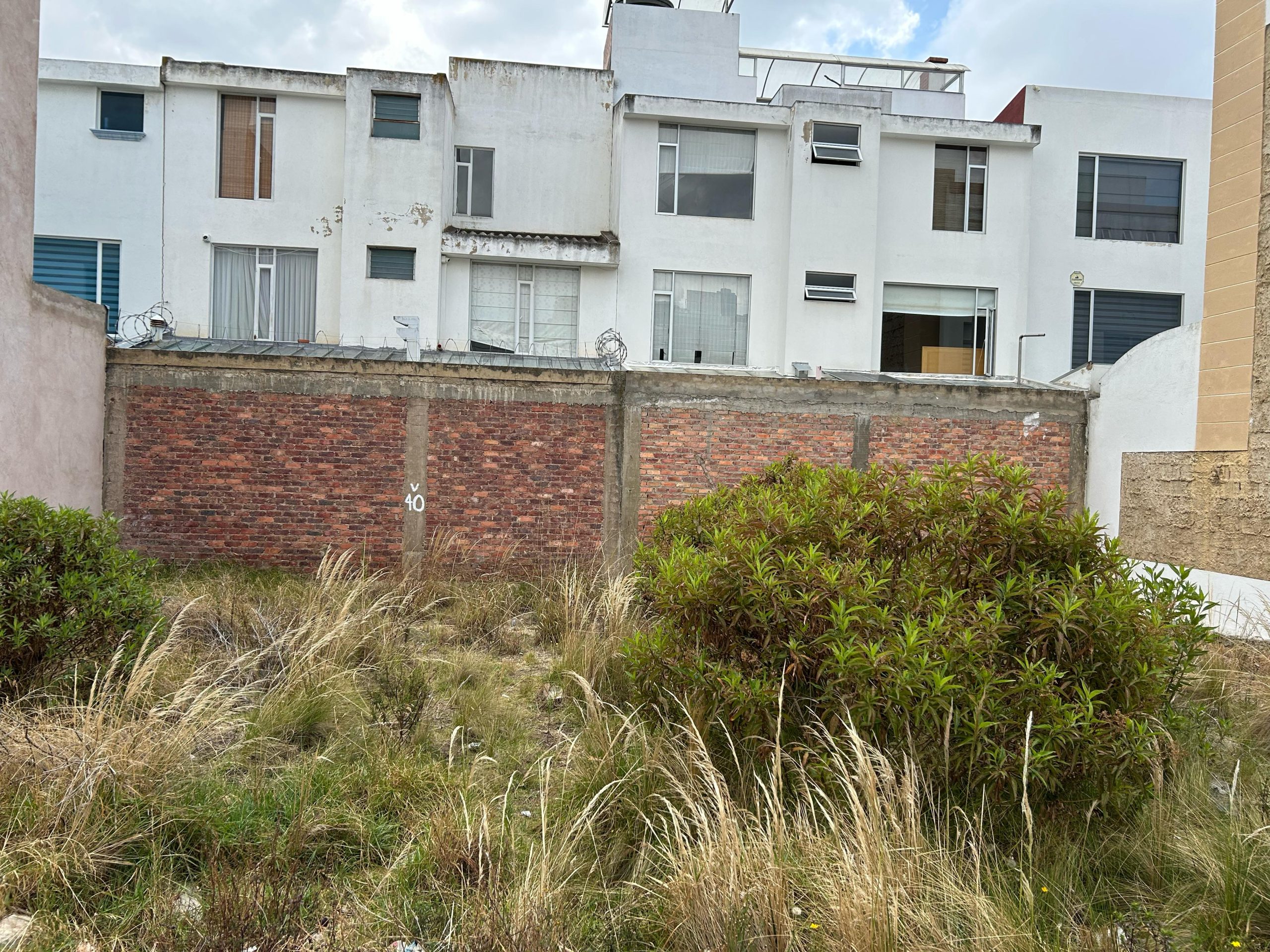 WhatsApp Image 2025-03-08 at 11.05.36 AM (6)