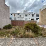 WhatsApp Image 2025-03-08 at 11.05.36 AM (7)