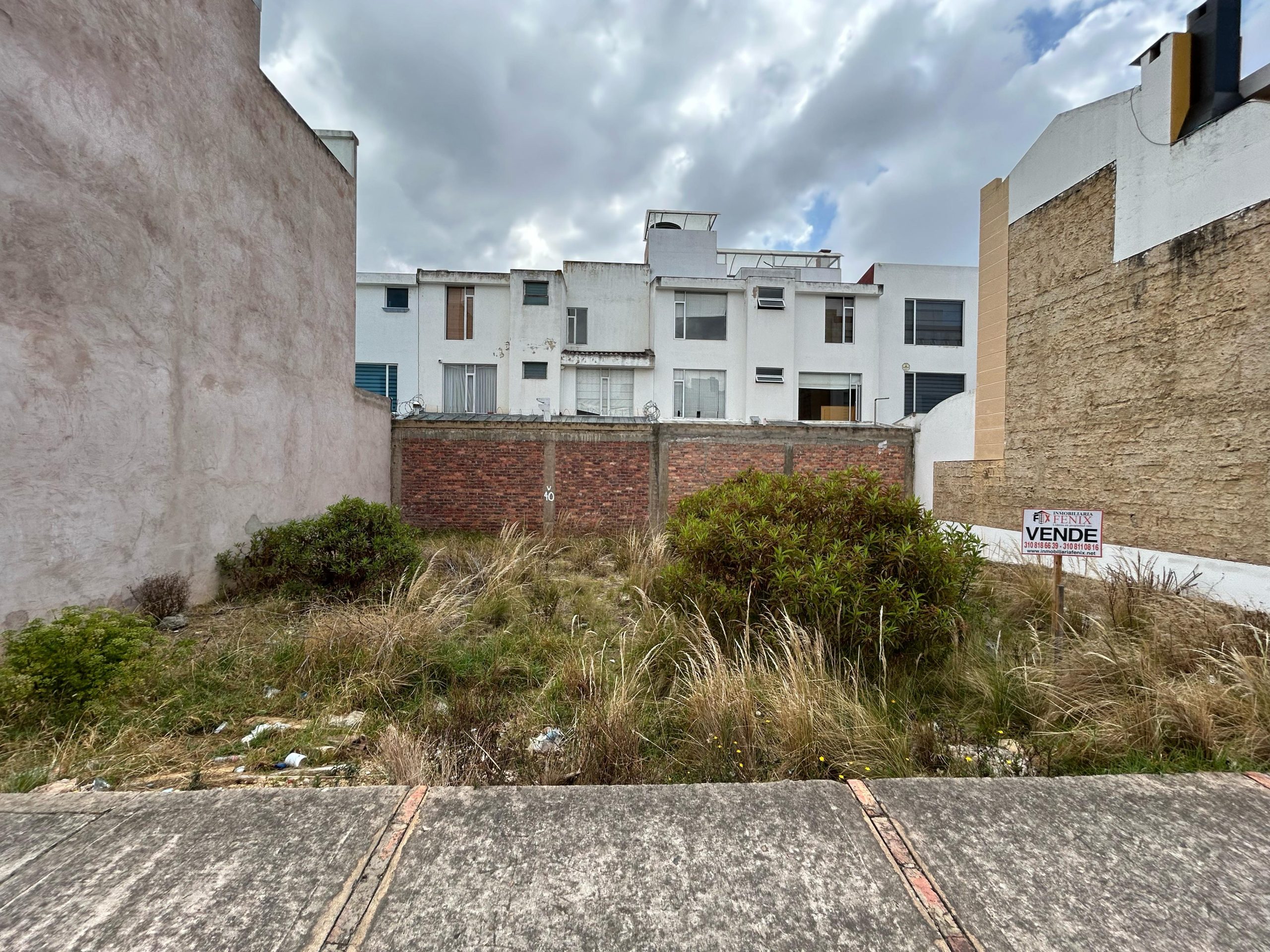 WhatsApp Image 2025-03-08 at 11.05.36 AM (7)