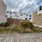 WhatsApp Image 2025-03-08 at 11.05.37 AM (6)