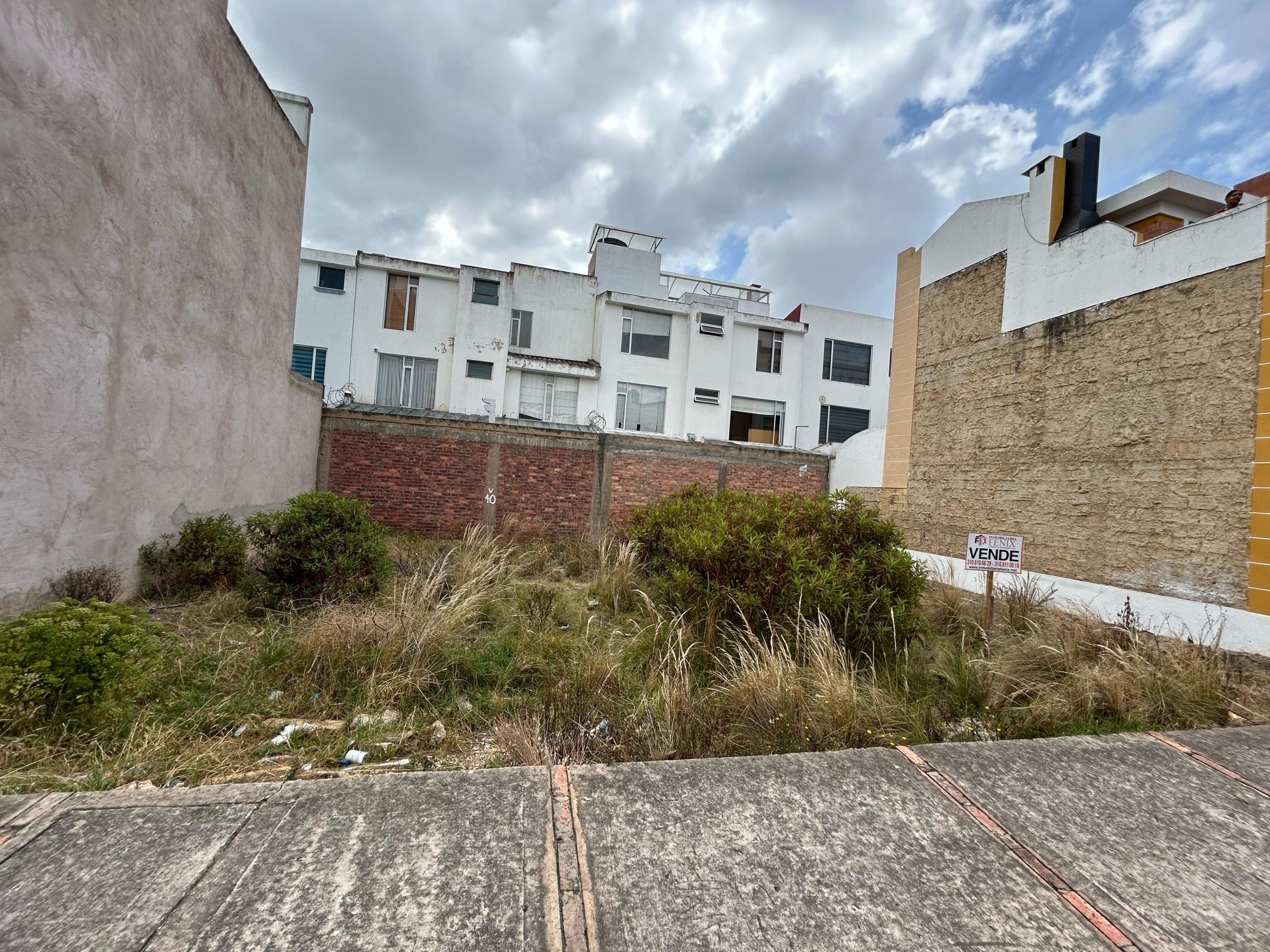 WhatsApp Image 2025-03-08 at 11.05.37 AM (6)