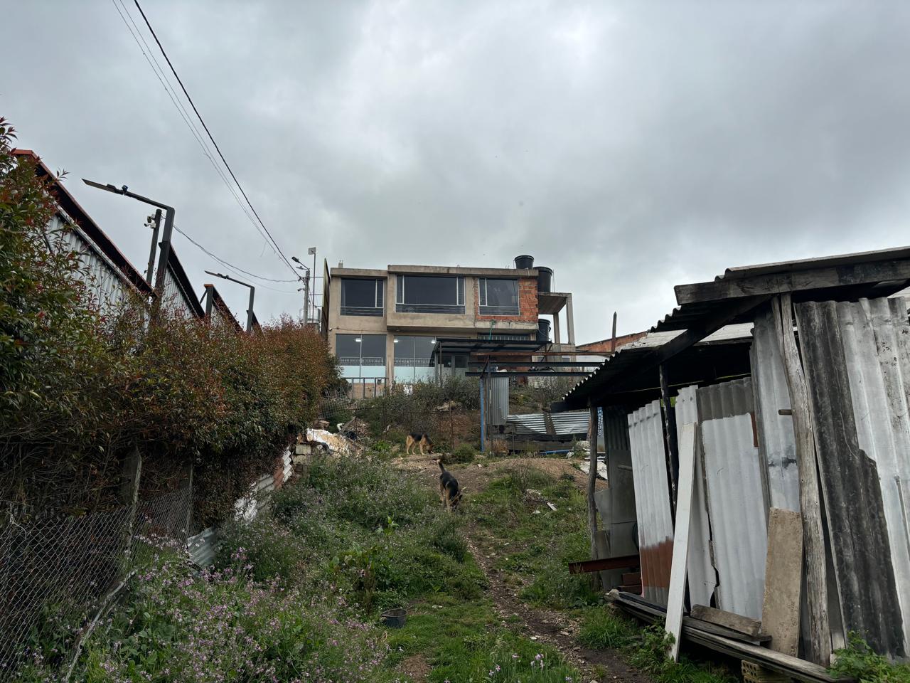 WhatsApp Image 2025-03-14 at 2.45.44 PM (1)