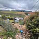 WhatsApp Image 2025-03-14 at 2.45.45 PM (1)