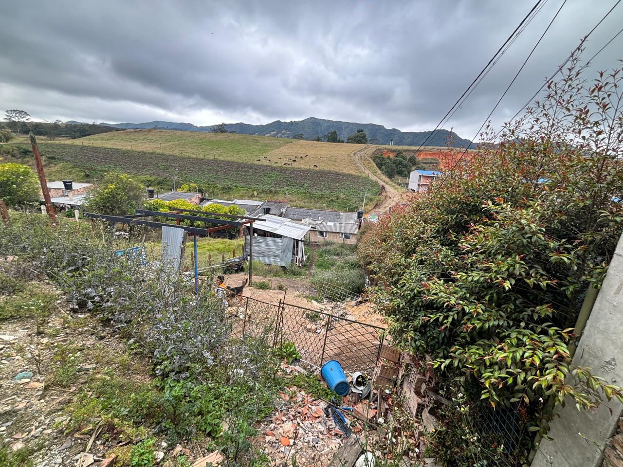 WhatsApp Image 2025-03-14 at 2.45.45 PM (1)