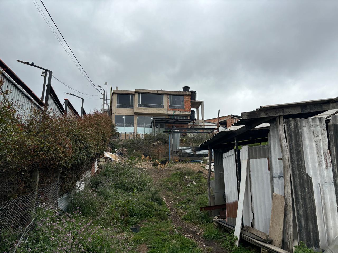 WhatsApp Image 2025-03-14 at 2.45.45 PM