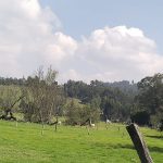 WhatsApp Image 2025-03-25 at 5.50.18 PM (1)