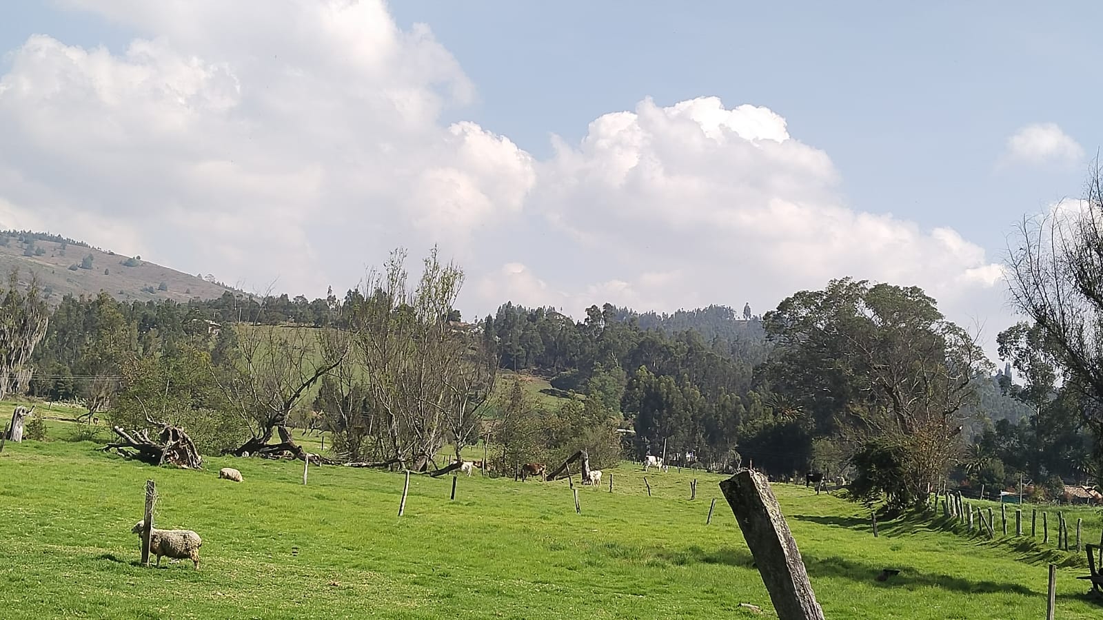 WhatsApp Image 2025-03-25 at 5.50.18 PM (1)