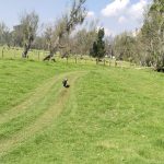 WhatsApp Image 2025-03-25 at 5.50.18 PM