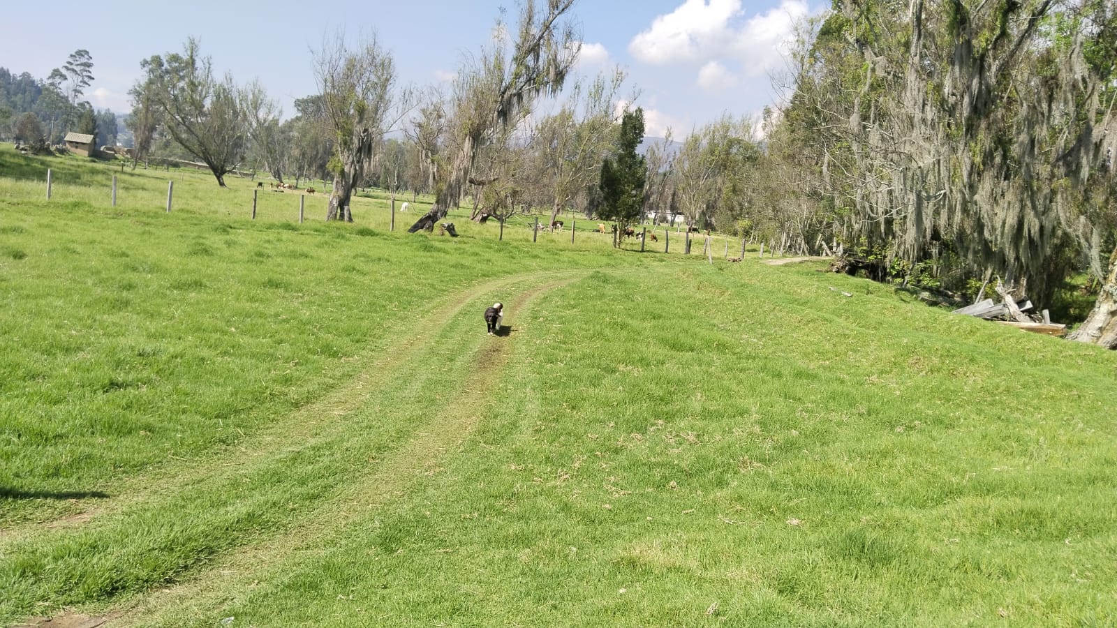 WhatsApp Image 2025-03-25 at 5.50.18 PM