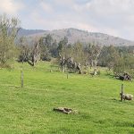 WhatsApp Image 2025-03-25 at 5.50.19 PM