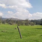 WhatsApp Image 2025-03-25 at 5.50.19 PM (2)