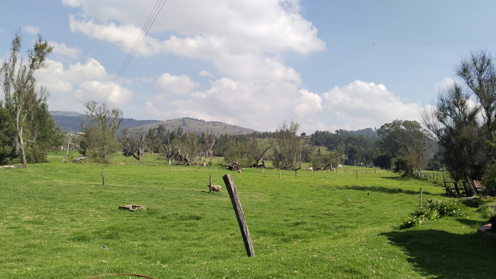 WhatsApp Image 2025-03-25 at 5.50.19 PM (2)