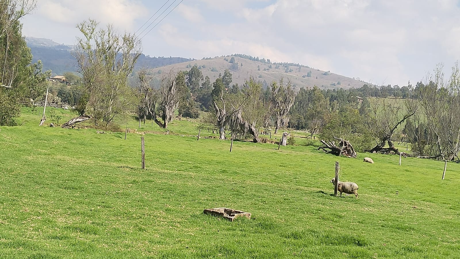 WhatsApp Image 2025-03-25 at 5.50.19 PM