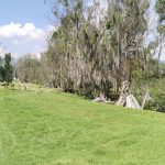 WhatsApp Image 2025-03-25 at 5.50.20 PM (1)