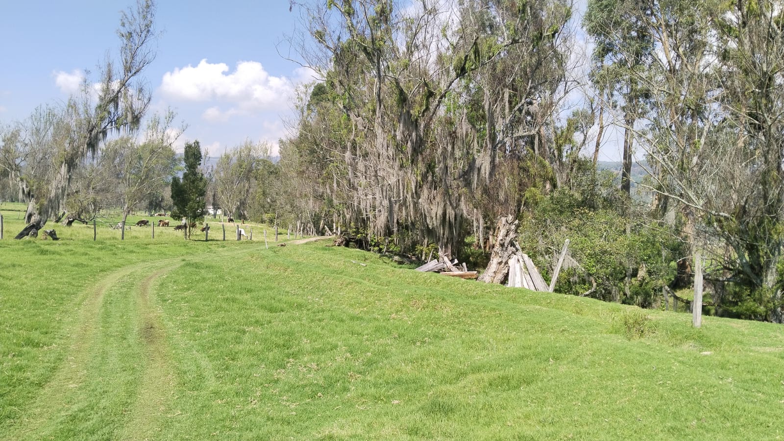 WhatsApp Image 2025-03-25 at 5.50.20 PM (1)