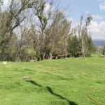 WhatsApp Image 2025-03-25 at 5.50.20 PM