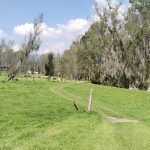 WhatsApp Image 2025-03-25 at 5.50.20 PM (2)