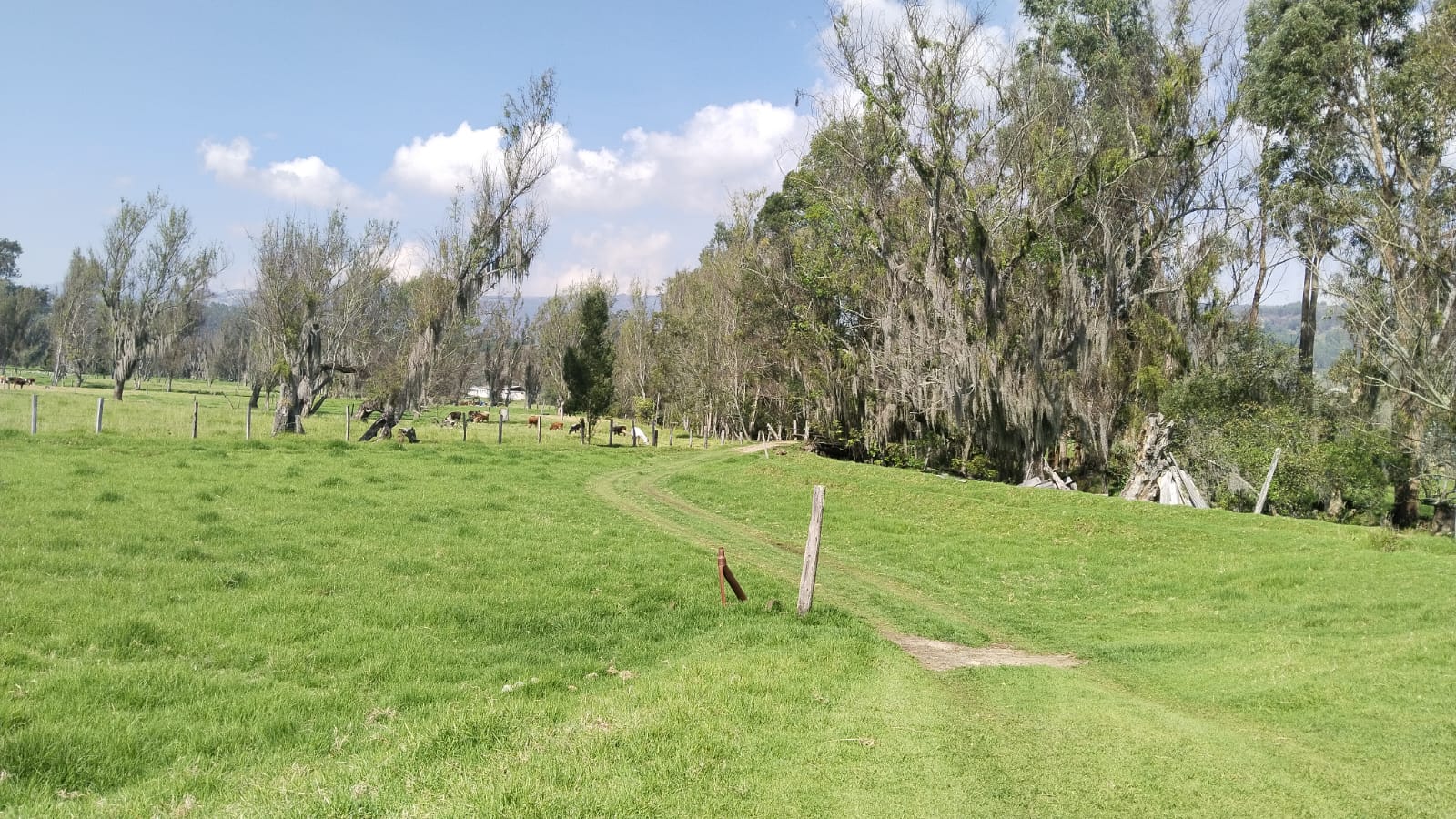 WhatsApp Image 2025-03-25 at 5.50.20 PM (2)