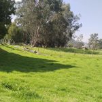 WhatsApp Image 2025-03-25 at 5.50.20 PM (3)