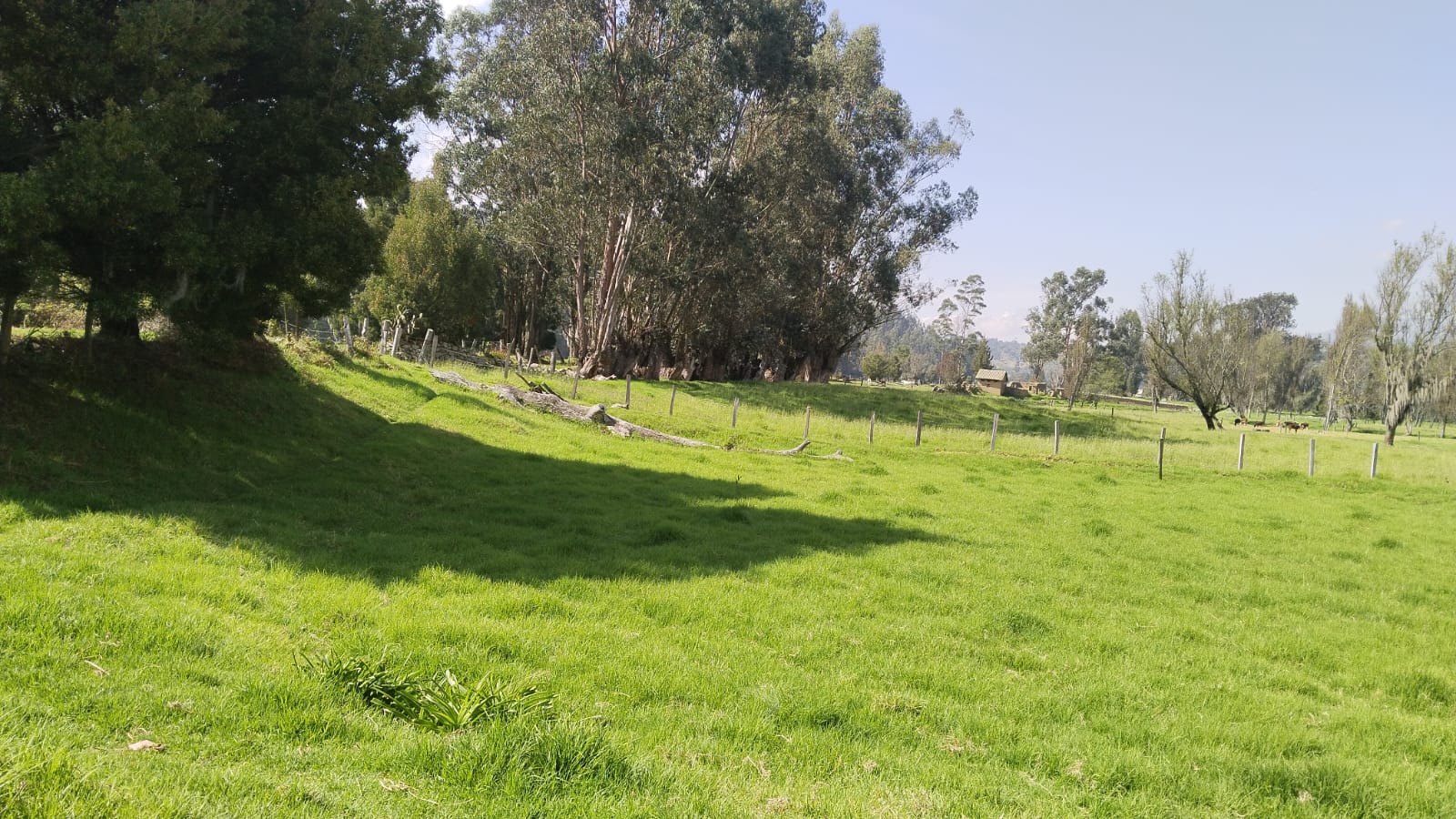 WhatsApp Image 2025-03-25 at 5.50.20 PM (3)