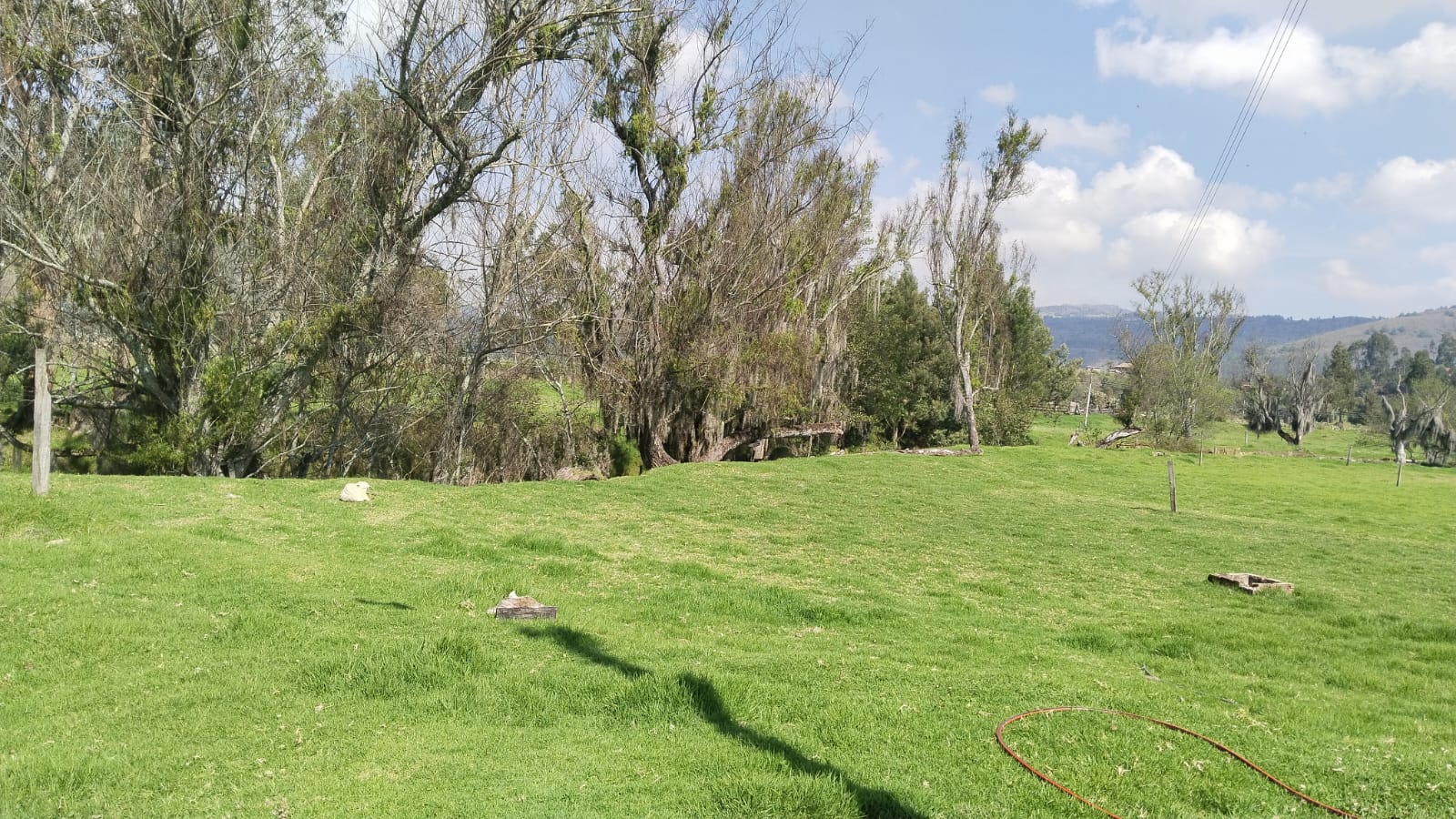 WhatsApp Image 2025-03-25 at 5.50.20 PM