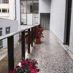 WhatsApp Image 2025-03-14 at 5.22.13 PM (1)