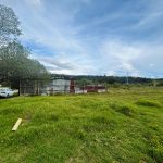 13c445c2-5e96-4064-8c2a-c3c965af5d45