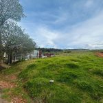 229c160f-855f-47cb-bc85-6f84a6b58c31