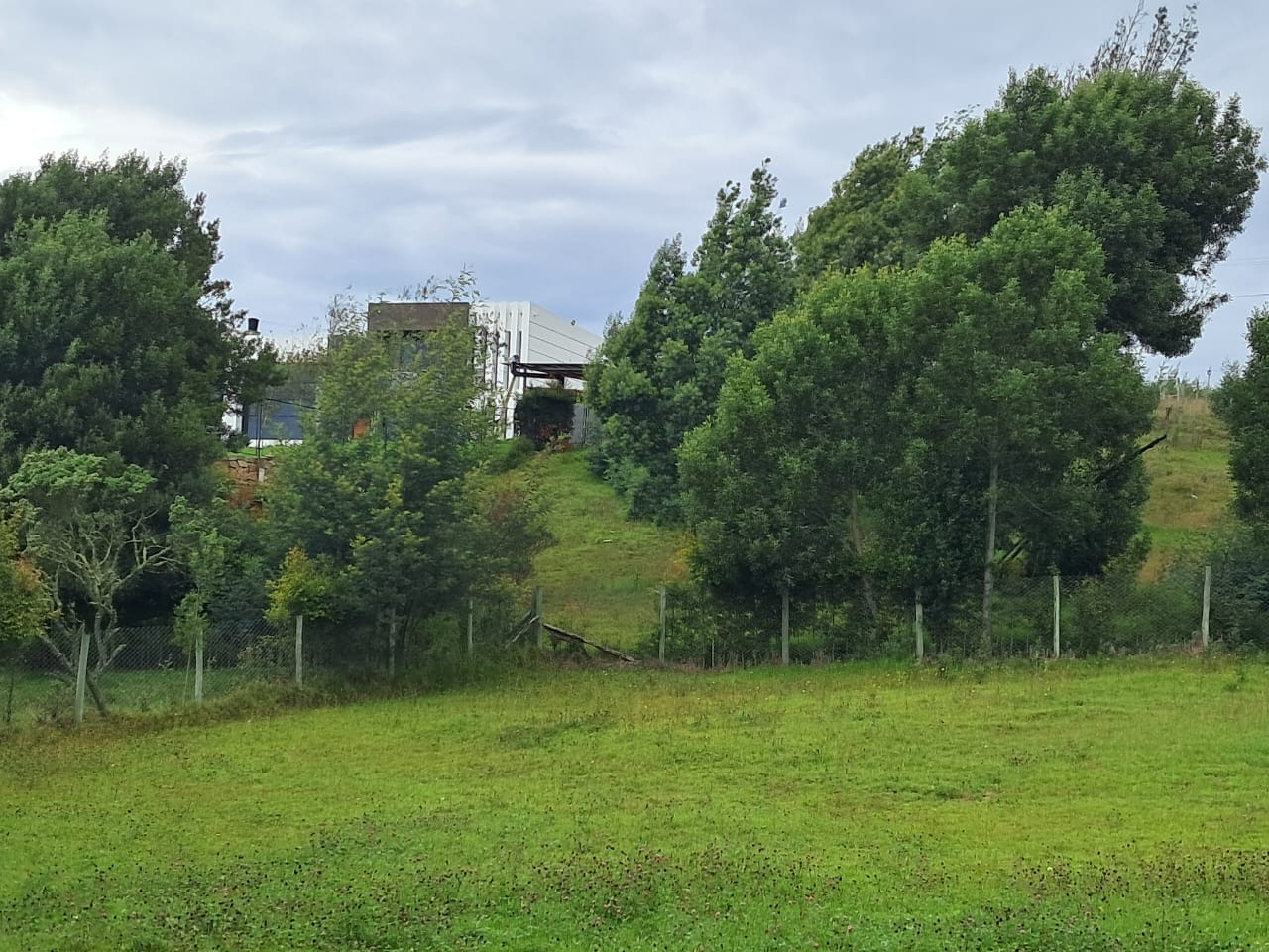 305d80ed-31fa-4be0-a560-650d1b01917c