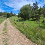 3d593c12-93f1-40bc-ba0b-781ea52b58fc