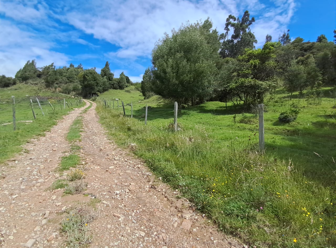 3d593c12-93f1-40bc-ba0b-781ea52b58fc