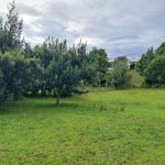 505fdba3-9a9a-43d3-a5ab-6ef6477410f2