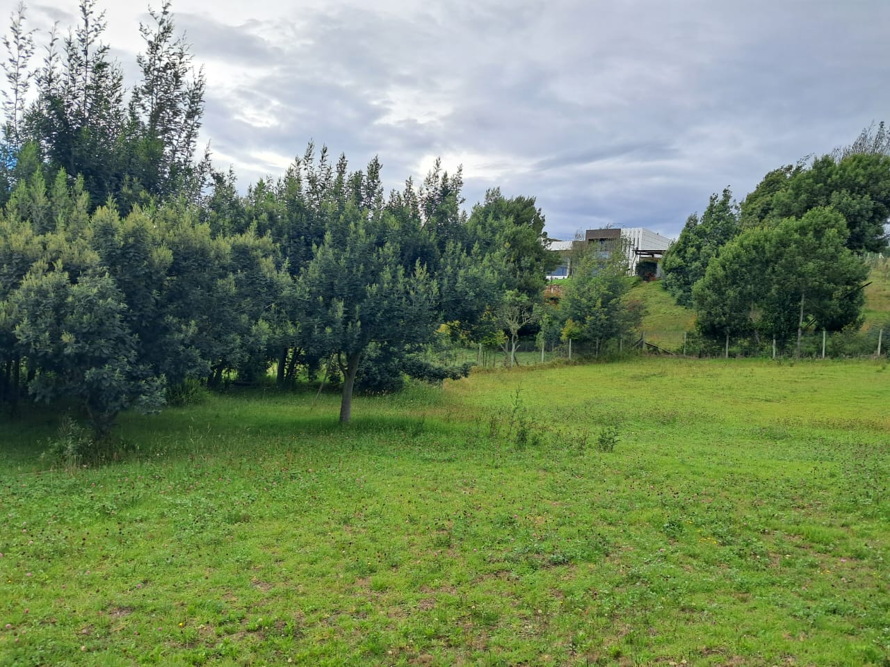 505fdba3-9a9a-43d3-a5ab-6ef6477410f2