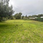 508871ad-e818-4ebf-ba9b-2fdea23154dc