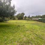 941f4467-be78-440d-949d-f8349d56bf8a