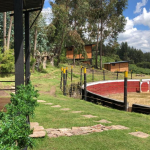 Captura de pantalla 2025-05-26 115746