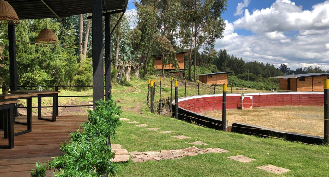 Captura de pantalla 2025-05-26 115746