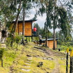 Captura de pantalla 2025-05-26 115803