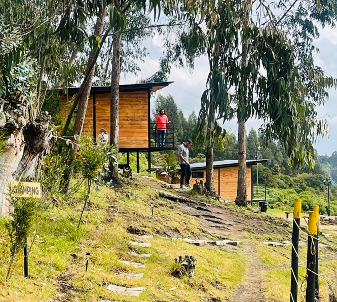 Captura de pantalla 2025-05-26 115803