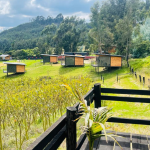 Captura de pantalla 2025-05-26 115857