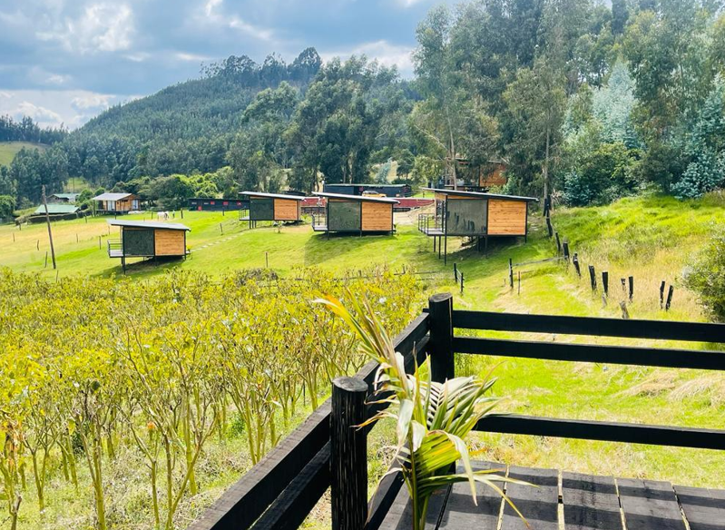 Captura de pantalla 2025-05-26 115857