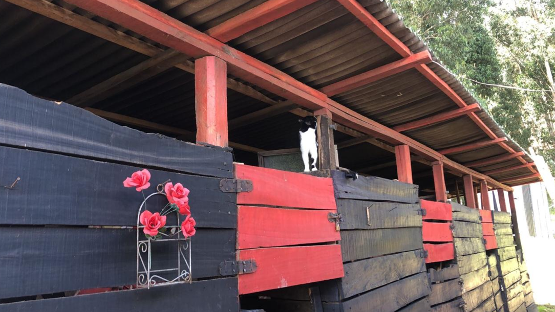 Captura de pantalla 2025-05-26 115954