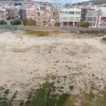 WhatsApp Image 2019-12-13 at 8.46.02 AM (2)