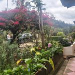 WhatsApp Image 2022-03-29 at 4.04.11 PM