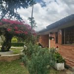 WhatsApp Image 2022-03-29 at 4.04.15 PM